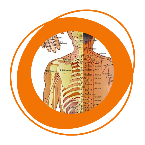 Méthode JMV Bienfaits Maladies chroniques, douleurs inflammatoires, fatigue chronique, vitalité, problèmes de peau