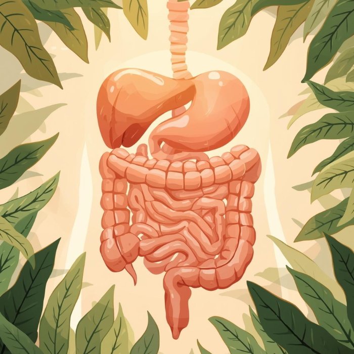 Bienfaits b&eacute;n&eacute;fices du beurre clarifi&eacute; ghee fait maison recette anti-inflammatoire intestins