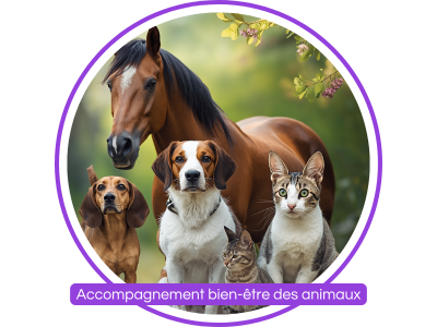 Elixirs floraux florith&eacute;rapie animaux chien chat cheval &eacute;motionnel comportement apaisement bien-&ecirc;tre Noirmoutier 