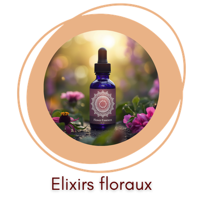 Elixirs floraux Fleurs de Bach Florith&eacute;rapie Noirmoutier naturopathe Julie P&eacute;aud Nature Bienveillante Emotions Stress