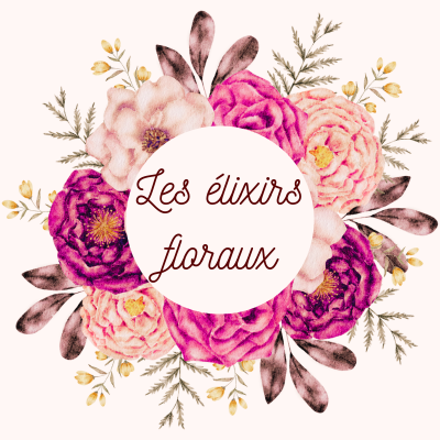 Elixirs floraux Fleurs de Bach Florithérapie Noirmoutier naturopathe Julie Péaud Nature Bienveillante Emotions Stress
