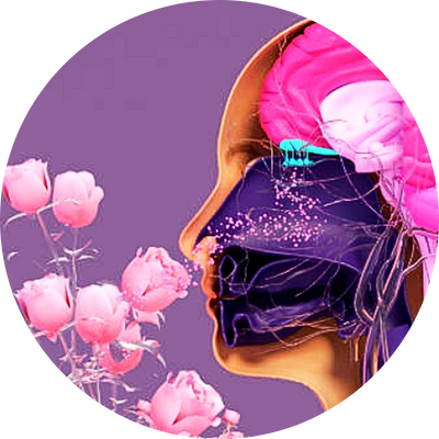 Olfactothérapie huiles essentielle bien-être stress insomnie émotions perturbées naturopathe Noirmoutier